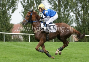 Kategorie: Avenches, 17.September 2012